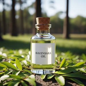 Huile essentielle de Ravensara naturelle pure de qualité thérapeutique Cinnamomum camphora Huile d'aromathérapie Fournisseur en gros - Product Image 5