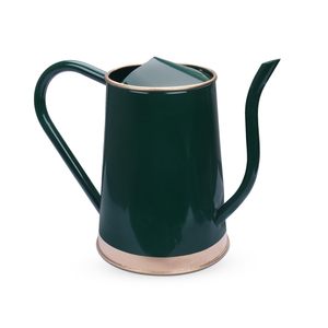 Fabricant d'arrosoir en métal en fer fait à la main de concepteur Conception personnalisée Fournisseur d'arrosoir pour plantes vertes - Product Image 3