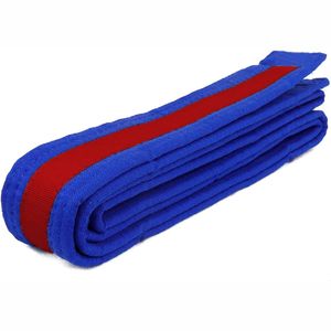 Nuevo 2025 secado rápido calidad única presupuesto amigable Karate cinturón multicolor equipo de artes marciales - Product Image 1