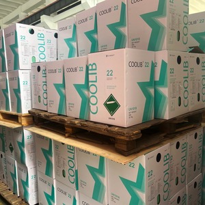 น้ำยาทำความเย็นคุณภาพสูง Coolib R22 ขนาด 30 ปอนด์ - Product Image 1