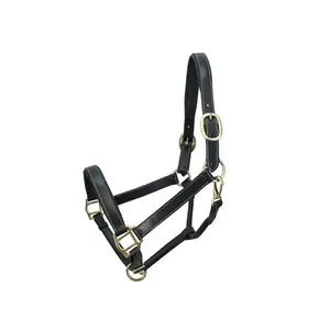 Top Grade Leather Made Empty Channel Horse Halter With Anatomic Crown & Gold Plated Hardware At Lowest Price