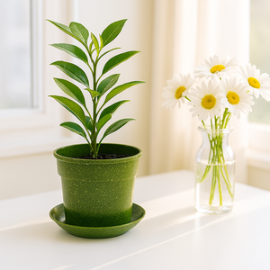 Macetas Ecológicas Pioneera de Varios Tamaños con Orificio de Drenaje para Uso en Interiores y Exteriores, Mini Maceta de 10 cm de Diámetro - Product Image 5