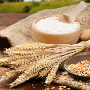 Fournisseur direct de farine de blé biologique sans gluten, options en vrac de farine de blé entière, qualité de traitement de l'avoine et de l'orge, qualité A, certifié ISO - Product Image 6