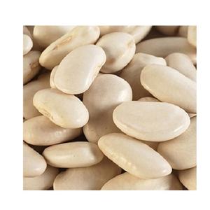 Haricots blancs et rouges biologiques de grande taille fraîchement cultivés et crus exportés dans le monde entier en vente dans un emballage en vrac - Product Image 4