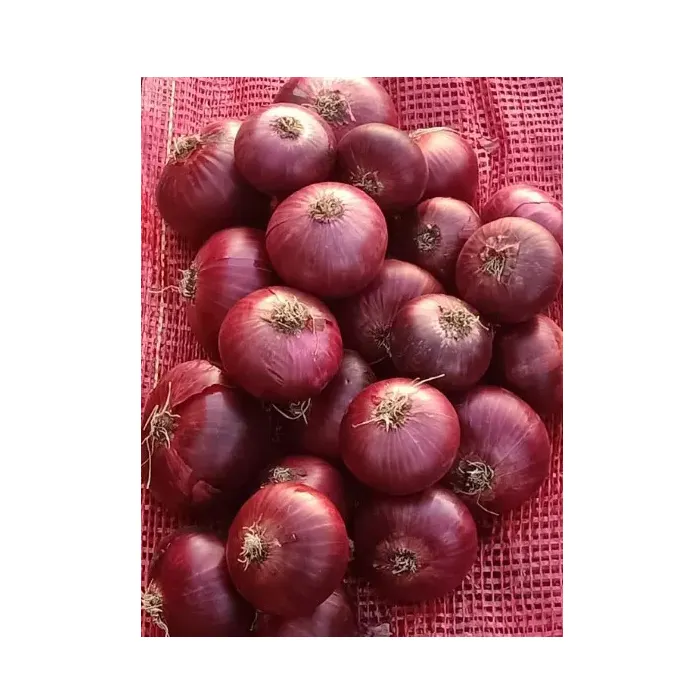 Fresh Red Onions New Harvest Wholesale Seasoned Foods spices big onions Top Grade