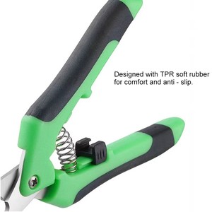 Coupe-ongles pour animaux de compagnie en acier inoxydable, <span class=keywords><strong>ciseaux</strong></span> à ongles obliques pour chats et chiens, vente en gros - Product Image 2