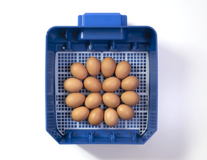 Incubateur automatique Lumia 16 Expert pour 16 œufs, nouvelle arrivée, incubateurs et éclosoirs à œufs de première main, fabriqué en Italie - Product Image 5