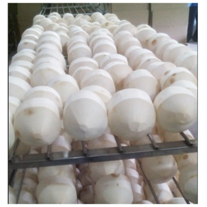 Noix de coco jeune prête à boire, bouchon facile à ouvrir, haute qualité du Vietnam - Product Image 3