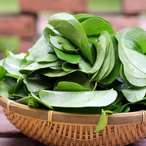 Acheter Mesona Chinensis Gelée d'herbe séchée de haute qualité pour la fabrication de gelée au Vietnam - Product Image 3