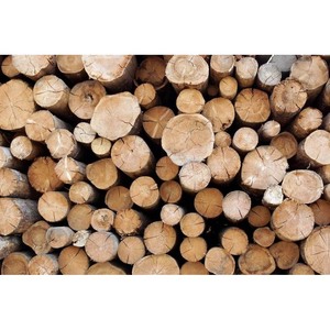 Madera seca al horno de calidad superior, recta y Lisa para construcción y muebles - Product Image 1