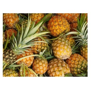 Piña Fresca Orgánica de Proveedor Francés - Product Image 2