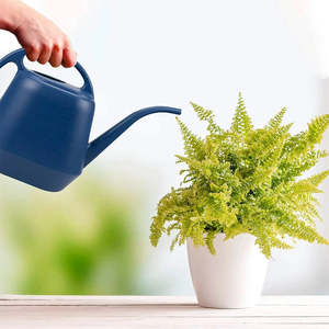 Heavy Duty Metal <b>Garden</b> Watering Can with Long Nozzle Design 8L Capacity Easy Carry Handle for Plant Watering - Product Image 5
