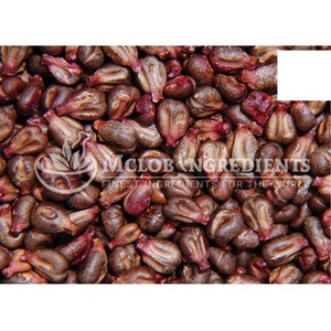Grape Seed Extract Natural Herbal <b>Supplement</b> For <b>Antioxidant</b> Support Cardiovascular <b>Health</b> Skin Radiance Immune Boost - Product Image 3