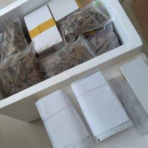 Vibrant Oud Wood Scent-Arôme durable sur les tissus et la peau! - Product Image 6