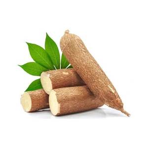 มันสำปะหลังสดแช่แข็งแบบสดใหม่ขายส่งจำนวนมาก - Product Image 3