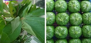 IH QUAITTETFIH OMITIVE E RIICE AAAKKIIN - Product Image 3