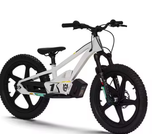 Motocicleta Eléctrica de Equilibrio Potente TUK con Descuento Especial EE 1.20 Disponible para la Venta - Product Image 5