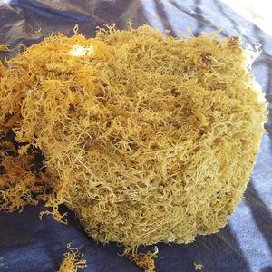 Wholesale Dried <b>Sea</b> <b>Moss</b> Eucheuma Cottonii Raw Irish Seaweed Purple Gold Organic Wildcrafted Spinosum Vietnam Bulk Export - Product Image 4