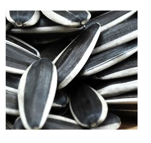 เปลือกเมล็ดทานตะวันเกรดเบเกอรี่เมล็ดทานตะวัน - Product Image 1