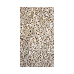 Suministro de maíz blanco a granel, cosecha fresca disponible para envío rápido - Product Image 3