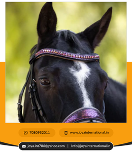 Edición limitada Cosmopolitan Snaffle Bridges Brida de cuero anatómico Proveedor Precio de fábrica al por mayor - Product Image 3