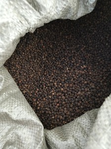 Poivre de chanvre vert séché poudre entière herbe épice traitement brut exportation - Product Image 4