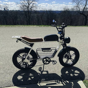 Bicicleta Eléctrica Retro Dynalion 48V 1000W con Motor de Cubo Trasero de 15ah y Ruedas de 20 Pulgadas, Envío Gratis, Bicicleta Eléctrica Rápida - Product Image 4