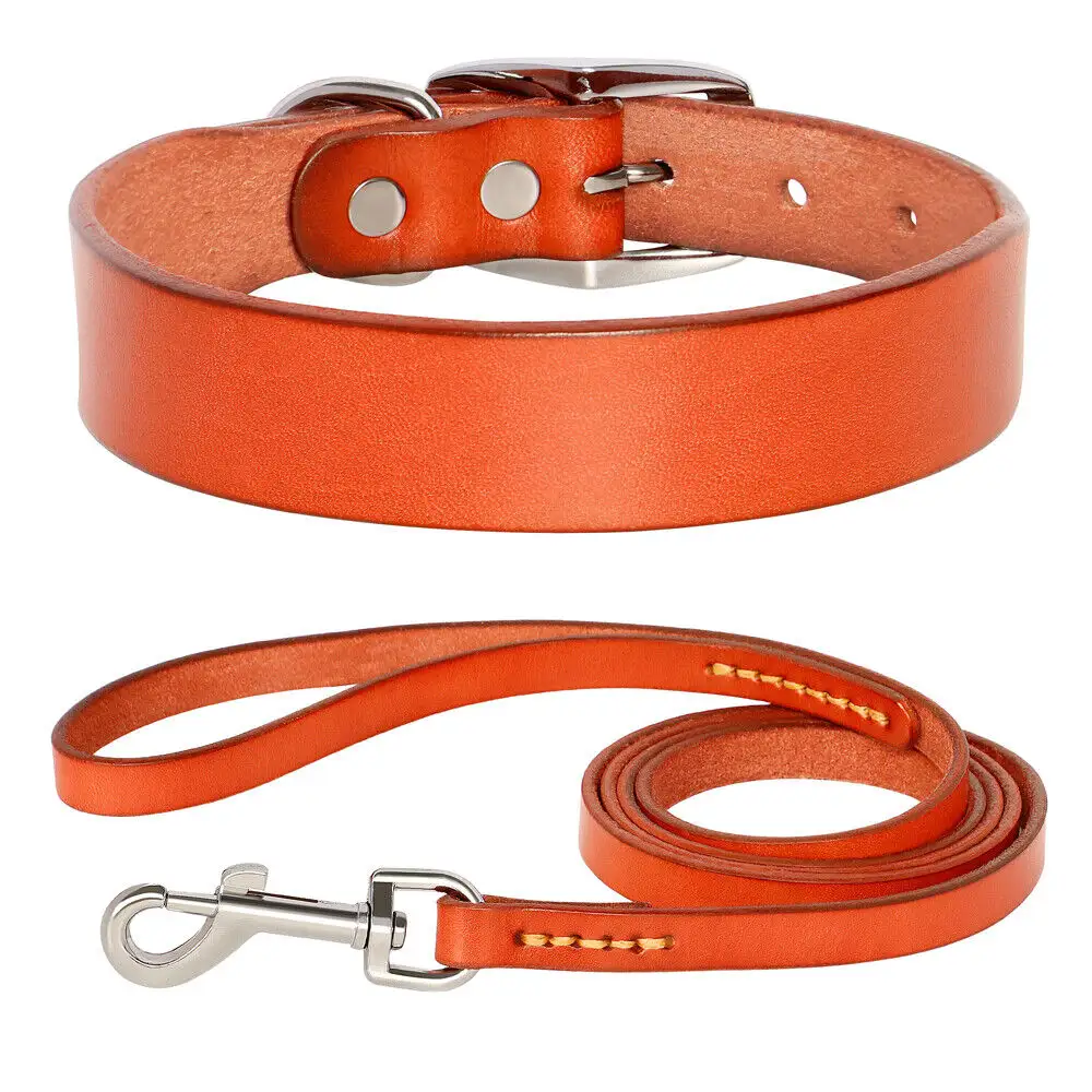 Premium Hondenhalsband Verstelbare Echt Lederen Stijlvolle Mode Leren Hondenharnas Met Halsband Tegen Groothandelsprijs