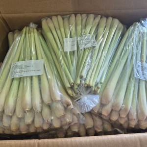 Citronnelle surgelée de qualité supérieure du Vietnam, riche en arôme, pour les restaurants et la restauration - Product Image 1