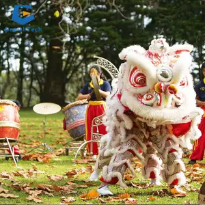 SG-LD-RT01ปรับแต่งจีนปีใหม่สิงโตเต้นรำเครื่องแต่งกายนำสิงโตเต้นรำ