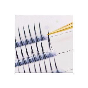 Paquete de extensiones de pestañas de líneas modernas, Accesorios de belleza calientes con diseño de línea A, caja de pestañas hecha en Vietnam - Product Image 5