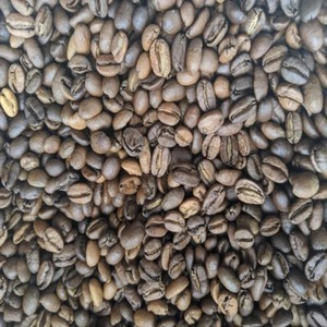 Los Mejores Granos de Café Tostados de la Última Colección, Variedad Robusta, Procesados en Verde, Precio de Mercado Disponible para la Venta - Product Image 1