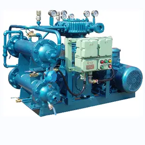 250 Bar Electric Biogas Compressor Natural Gas Compresor De Aire Industrial Reciprocating Compressors