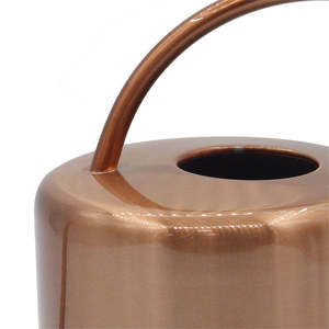 Arrosoir en métal pour jardinage avec design de versement fluide, poignée ergonomique, construction robuste, capacité de 8 L, écologique pour la santé des plantes - Product Image 4