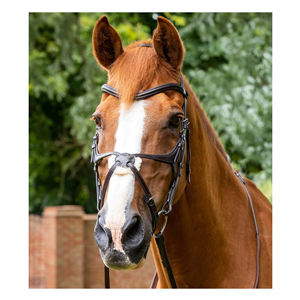 Fabricantes Profesionales, Venta Caliente, Brida de Cuero Italiano de Alta Calidad, Duradera, la Mejor Fabricada en India, para Caballo - Product Image 1