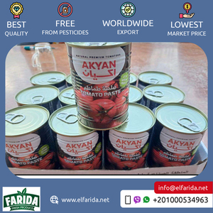 Chất lượng cao 28% 30% Ai Cập Xuất xứ tự nhiên ngon cà chua dán nóng bán gia vị gia vị nước sốt từ công ty đáng tin cậy - Product Image 3