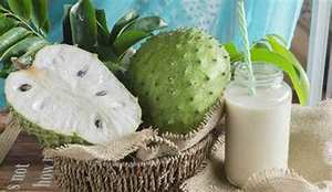 PURÉE SOURSOP CONGELÉE PREMIUM SANS ADDITIFS ÉTIQUETTE PROPRE POUR LE SUPPORT DU SYSTÈME IMMUNITAIRE - Product Image 3