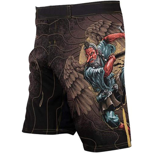 Pantalones cortos de MMA de poliéster ligero, estampados por sublimación, con cintura elástica, transpirables, para entrenamiento de combate y gimnasio. - Product Image 5