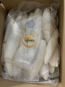 Os de seiche séchés et taillés en vrac, os blancs de seiche - Product Image 3