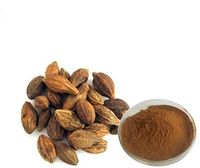 Poudre d'extrait de Terminalia Chebula 40% ingrédient de qualité supérieure produit en gros qualité supérieure