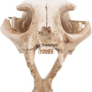 Tradebyd Statue sculptée d'animaux en résine artisanale Figurines artistiques uniques pour collectionneurs et décoration de maison de luxe - Product Image 1