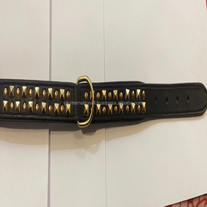 Collar de cuero para perros, accesorio negro con relleno grueso de alta calidad para mascotas de todos los tamaños, personalizado con remaches dorados de 2 filas - Product Image 3