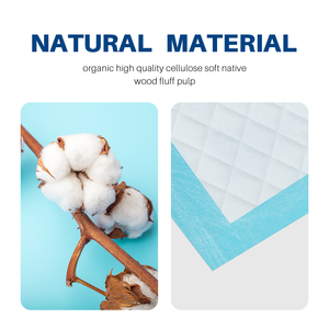 Venta al por mayor en línea desechable absorbente de carbón mascota orinal estera de orina cachorro entrenamiento inodoro Wee Perro Japonés almohadilla para orinar para perro - Product Image 6