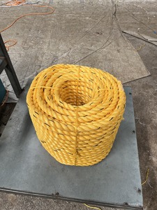 Cuerda de monofilamento de polipropileno PP a precio de fábrica, azul y blanco, 3/4 hebras, 4mm-40mm, remolque de amarre de barco Anti-Uv de alta resistencia - Product Image 2