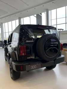 Tank 300 Super Comfortable Hi4-T COCHE USADO Modelo Híbrido de Nueva Energía Tank 300 Venta en Qatar Coches 4x4 Principal - Product Image 6