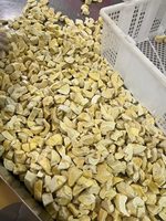 Durian Lyophilisé Croustillant Saveur Naturelle Qualité Supérieure Vente en Gros - Mme Tarina