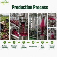 Poudre de jus de betterave (nitrate) Poudre de betterave rouge de qualité alimentaire Nitrate naturel Vente en gros en vrac Fournisseur d'usine