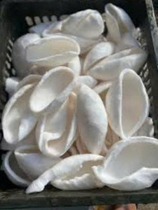 Viande de noix de coco fraîche congelée IQF du Vietnam, morceaux de haute qualité pour la production d'huile de noix de coco et de noix de coco déshydratée - Product Image 4