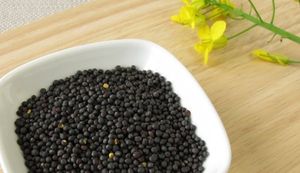 Semilla de canola de alta calidad de Australia para la extracción de aceite comestible y cultivo de alimentos-Proveedor mayorista - Product Image 6