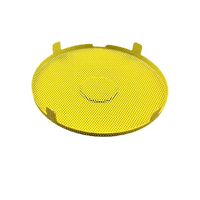 Grille de haut-parleur en acier inoxydable colorée personnalisée, étanche, en métal, protection contre la poussière, découpe au laser, revêtement en poudre